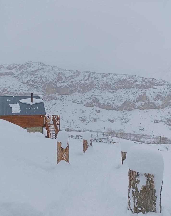 Cottage Toladi Kazbegi Exteriör bild