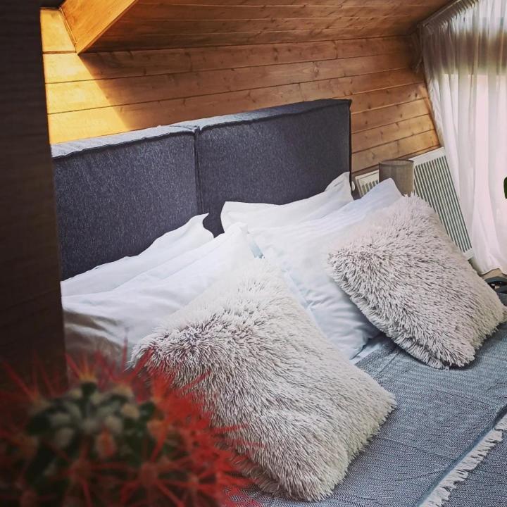 Cottage Toladi Kazbegi Exteriör bild